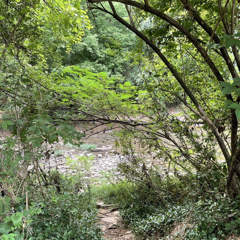 Bicentennial Park - Nice view of the Harpeth River - Parks Near Me - Franklin, Tennessee Bicentennial Park - Nice view of the Harpeth River - Parks Near Me - Franklin, Tennessee