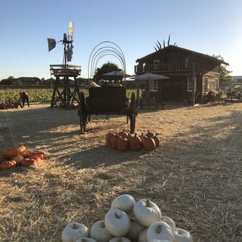 Goblin Gardens - Pick Your Own Farms Near Me - Sacramento, California Goblin Gardens - Pick Your Own Farms Near Me - Sacramento, California