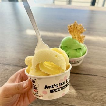 Ant's Ice Cream - Durian and Pandan ice cream. Delicious! - Ice Cream & Frozen Yogurt Near Me - Garden Grove, California