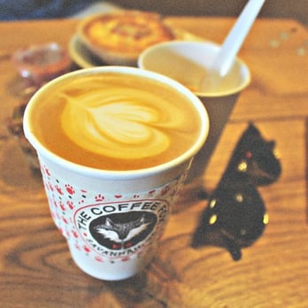 The Coffee Fox - Coffee & Tea Near Me - Savannah, Georgia