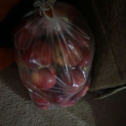 Haney's Appledale Farm - Wine sap apples