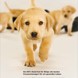 Designfutter - Werbekampagne für Tierfutter
