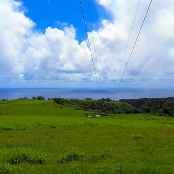 Botanical World Adventures - High above the bay! - Botanical Gardens Near Me - Hakalau, Hawaii