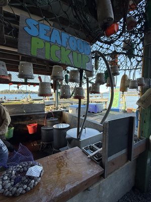 Kelly's Brighton Marina & Campground by null