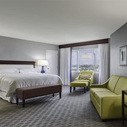 Sheraton Arlington Hotel - Junior Suite