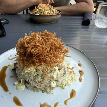Roe Fusion - Salad in the distance and fried rice - Asian Fusion Near Me - Sierra Madre, California Roe Fusion - Salad in the distance and fried rice - Asian Fusion Near Me - Sierra Madre, California