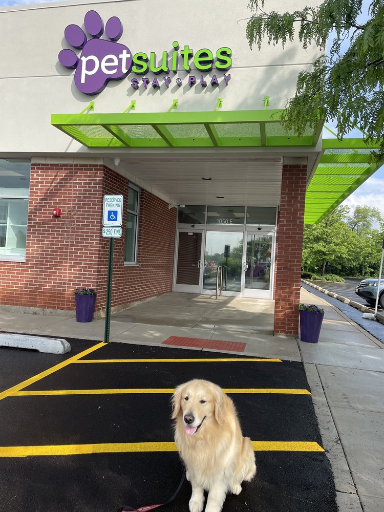 PETSUITES ARLINGTON HEIGHTS Pet Boarding 1050 E Rand Rd, Arlington