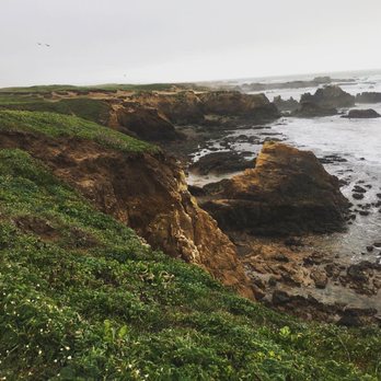 Pudding Creek - Gorgeous bluff trail - Beaches Near Me Pudding Creek - Gorgeous bluff trail - Beaches Near Me