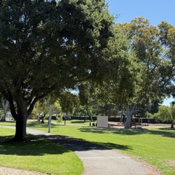 Trees and walking trails