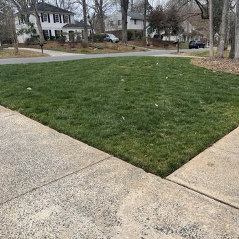 FineTurf Lawn Care - This is fineturf bs what I had before I hired - Lawn Services Near Me - Matthews, North Carolina FineTurf Lawn Care - This is fineturf bs what I had before I hired - Lawn Services Near Me - Matthews, North Carolina