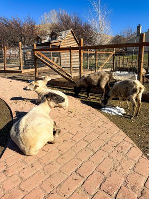 This Is The Place Heritage Park by null