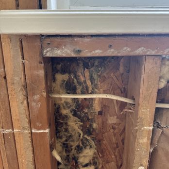 Pella Window and Door - Wet wood - Windows Installation Near Me - Jacksonville, Florida Pella Window and Door - Wet wood - Windows Installation Near Me - Jacksonville, Florida