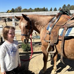 Santa Ynez Valley Horseback Rides - Post trail ride
