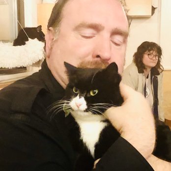NEKO: A Cat Cafe - Loves & Scritches for Freda [Photo by Tanzie] - Themed Cafes Near Me - Seattle, Washington