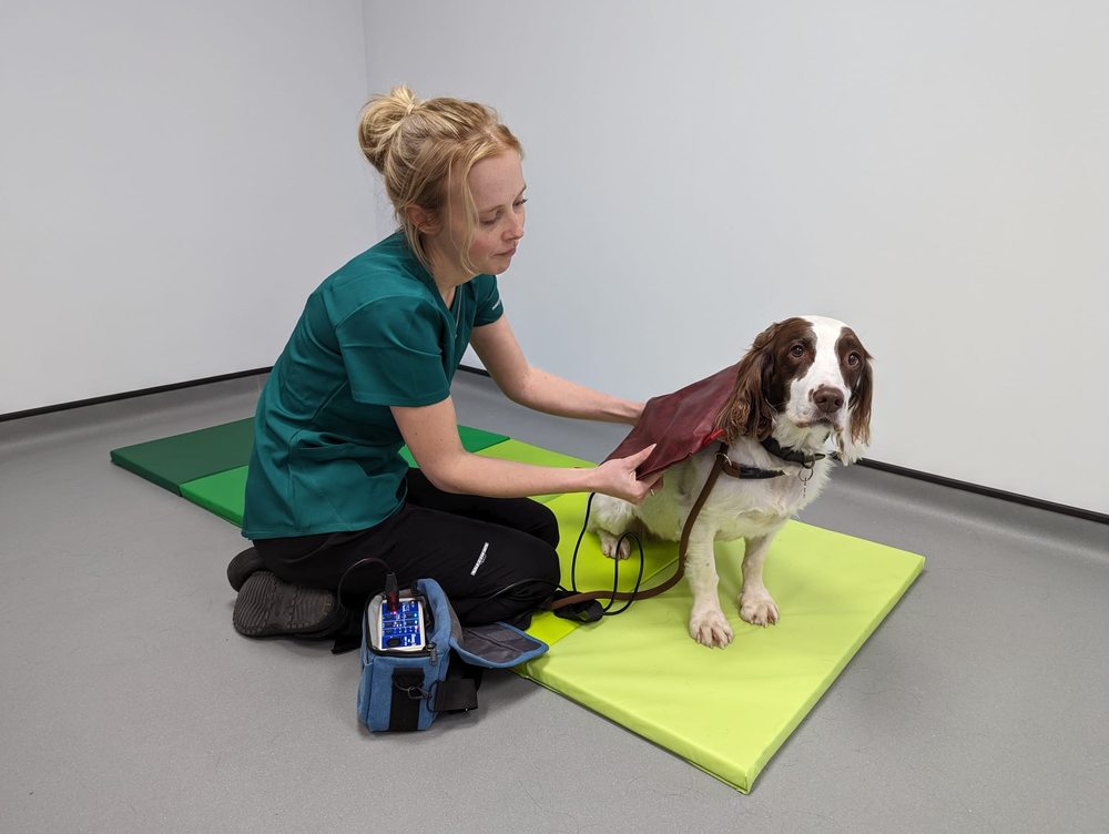 ASH TREE VETS Updated April 2024 15 Photos 9 Priory Business Park