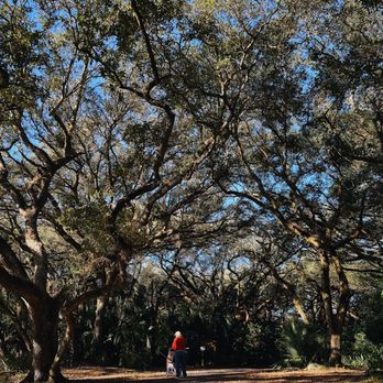 Tree Tops Park - Parks Near Me - Davie, Florida