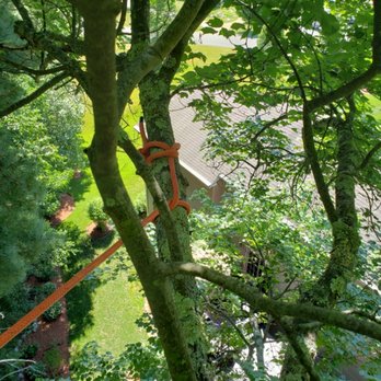 Redemption Tree & Landscape - Need more sunlight to your pool? Call us today 774 452 6224 - Tree Services Near Me - Oakham, Massachusetts Redemption Tree & Landscape - Need more sunlight to your pool? Call us today 774 452 6224 - Tree Services Near Me - Oakham, Massachusetts