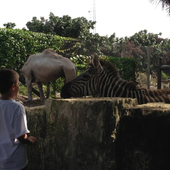 Everglades Outpost - Zoos Near Me - Homestead, Florida