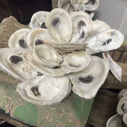 Louisiana Marketshops At The 115 - Loved these repurposed oyster pieces, look like a magnolia bloom