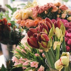 Love Flower