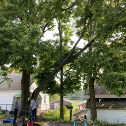 Sunbury Tree Care