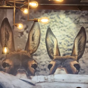 Spotted Donkey Cantina - Mexican Near Me - Clearwater Beach, Florida