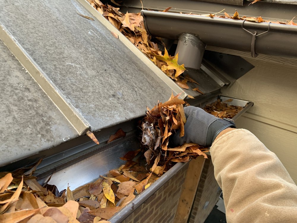 GUTTER GLIDERS Updated September 2024 44 Photos 3419 Highway 53