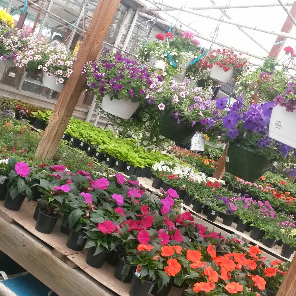 Eastside Greenhouse - Nurseries & Gardening Near Me - Joliet, Illinois Eastside Greenhouse - Nurseries & Gardening Near Me - Joliet, Illinois