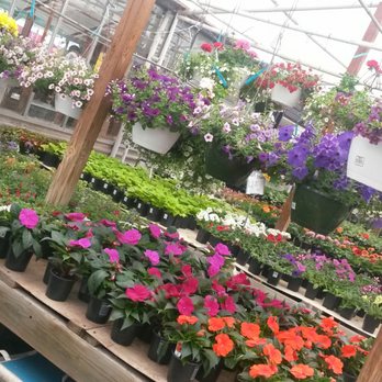 Eastside Greenhouse - Nurseries & Gardening Near Me - Joliet, Illinois