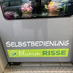 Blumen Risse - Blumenautomat