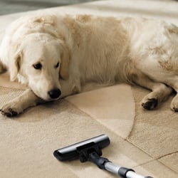 Ace Vacuums