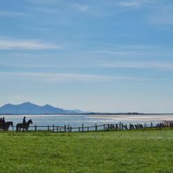 Anglesey Riding Centre