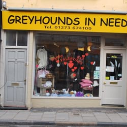 Greyhounds in Need - GIN