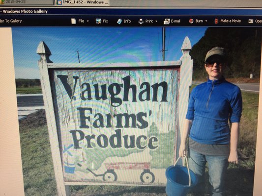 Vaughan Farms' Produce by null