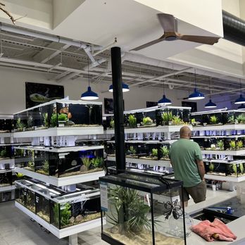 Fish Gallery - Aquarium Services Near Me - Addison, Texas Fish Gallery - Aquarium Services Near Me - Addison, Texas