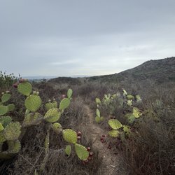 Ladera Ranch Bench Trail
