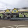 Photo of Blumen Risse