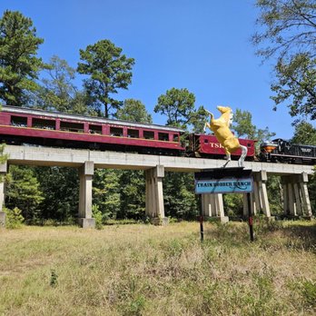 Train Robber Ranch - Caught the train! - Ranches Near Me - Rusk, Texas Train Robber Ranch - Caught the train! - Ranches Near Me - Rusk, Texas