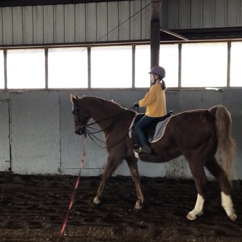 Lukens Stables - Horseback Riding Near Me - Ravena, New York