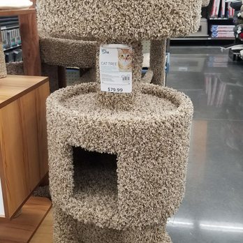 Petco - Cat furniture - Pet Training Near Me - Kissimmee, Florida