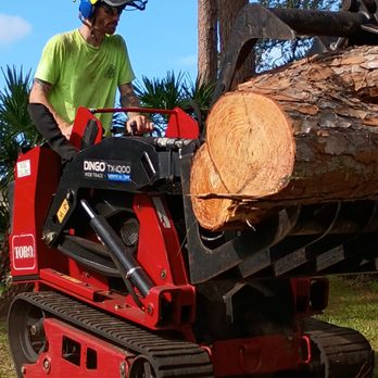 CN Tree Service - Foreman Tibbs on the skidsteer! - Tree Services Near Me - Daytona Beach, Florida CN Tree Service - Foreman Tibbs on the skidsteer! - Tree Services Near Me - Daytona Beach, Florida