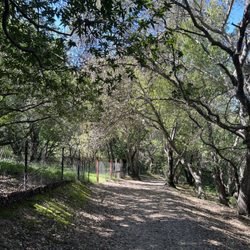Martin Canyon Creek Trail - Martin Canyon Creek Trail - Shaded wide trail near Silvergate Dr and Bay Laurel St trailhead entrance.