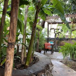 Lobo de Mar - Tropical oasis dining. Such a wonderful setting away from the rest of the world.