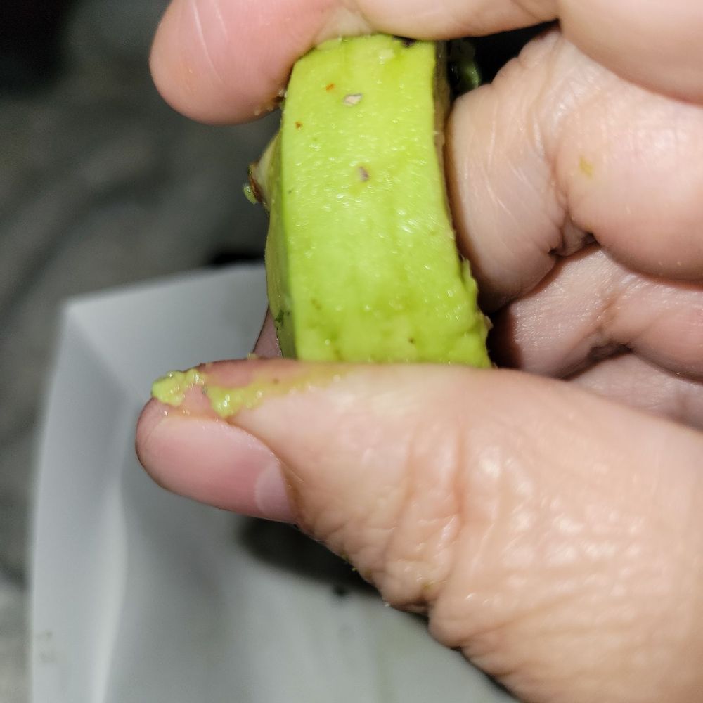 Cafe Big Mug - Severely under ripe avocado. - Coffee & Tea Near Me - Santa Clara, California