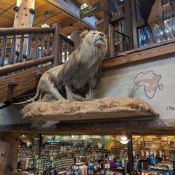 Bass Pro Shops