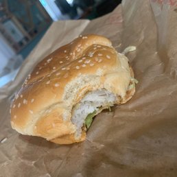 My favorite fish Sammy!! My favorite fish Sammy!!