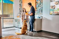 Dogtopia - pet boarding facility in Indianapolis, IN