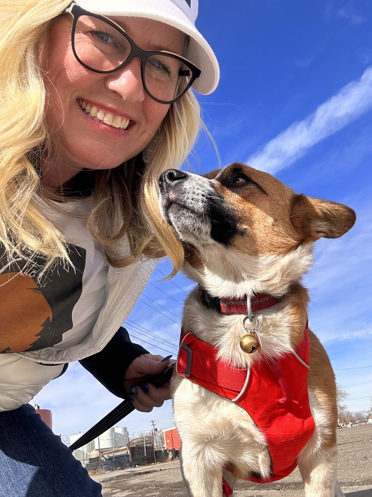 ELITE DOG WALKING 10 Photos 66462 Landfill Rd, Montrose, Colorado