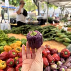 Downtown Los Altos Farmers' Market