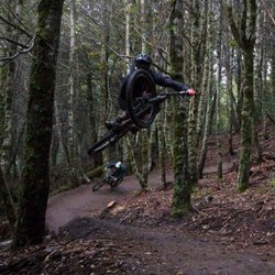 Lacks Creek Management Area - Mountain biking hot spot